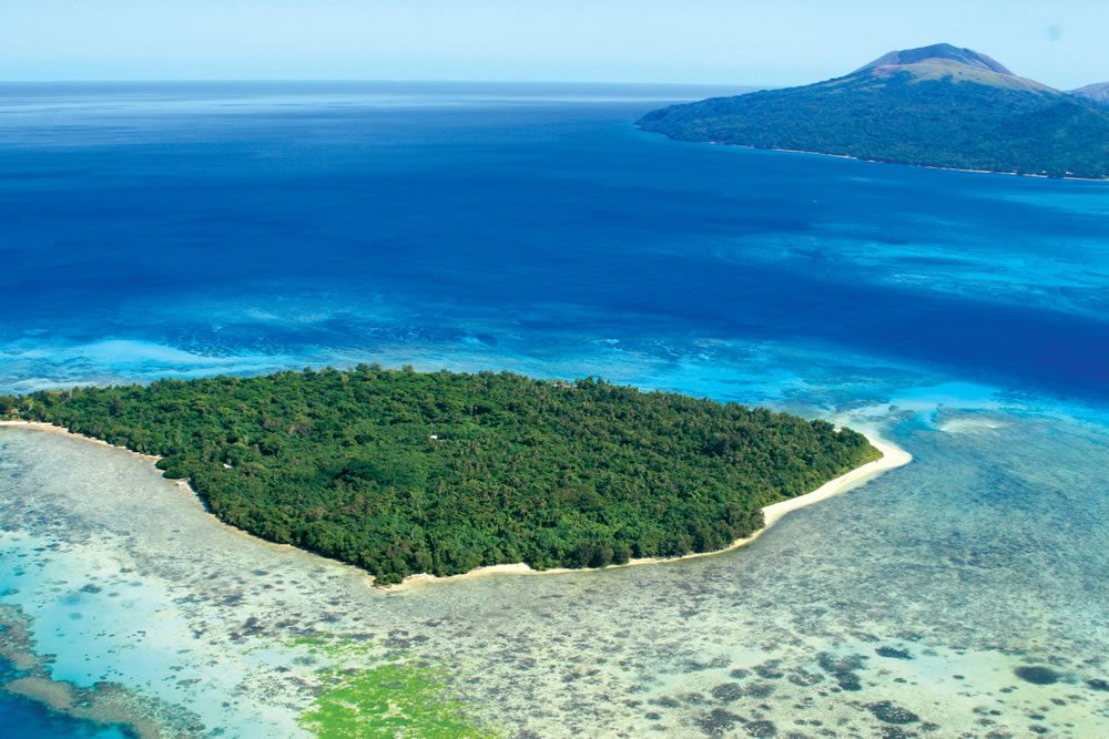 Kakula-Vanuatu