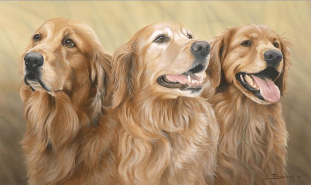 ANIMALS