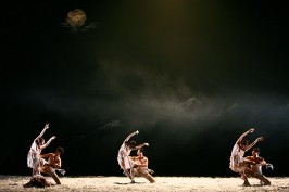 beginners-guide-beijing-dance-theatre-9406fb79