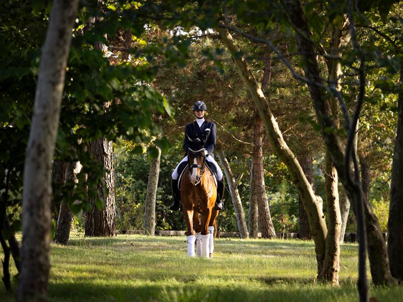 Inside San Diego's Most Prestigious Neighborhoods: A Closer Look at Covenant in Rancho Santa Fe